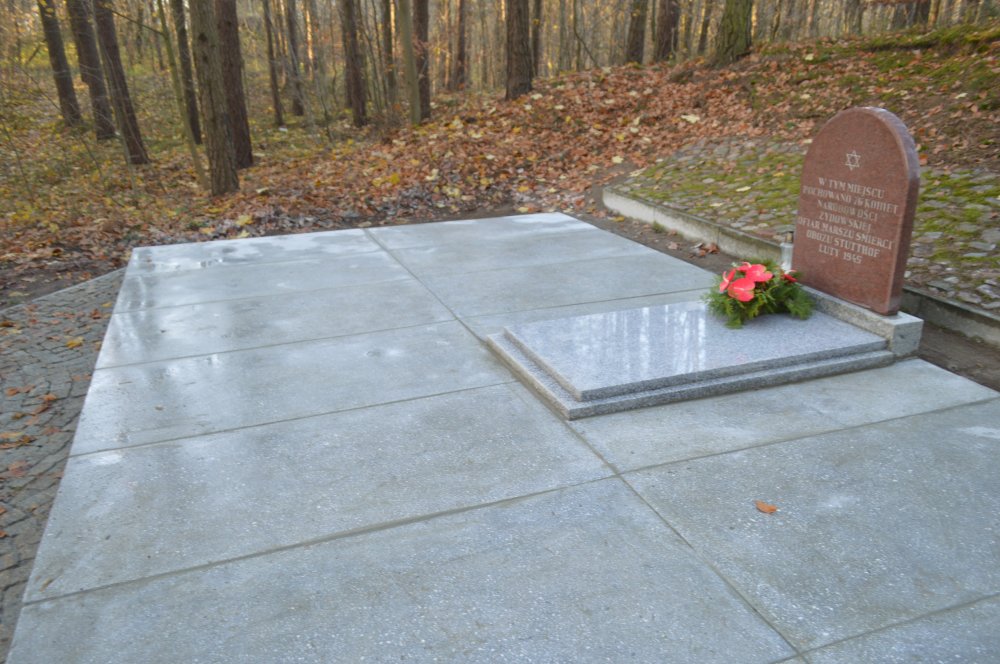 - dsc_0146.jpg - dsc_0146.jpg