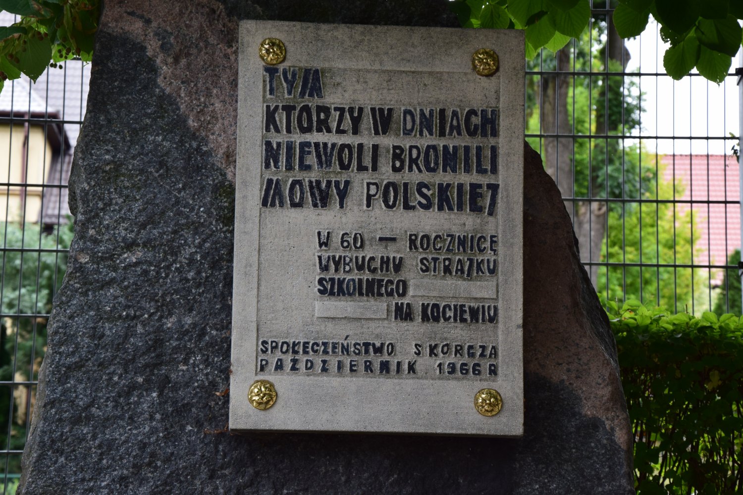 - dsc_7520_1.jpg - dsc_7520_1.jpg