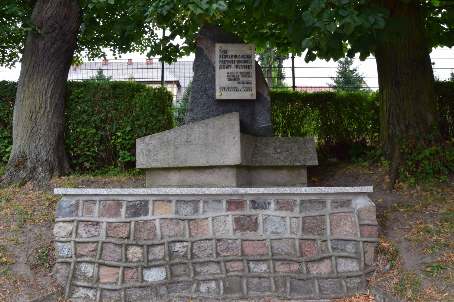 - dsc_7522_1.jpg - dsc_7522_1.jpg