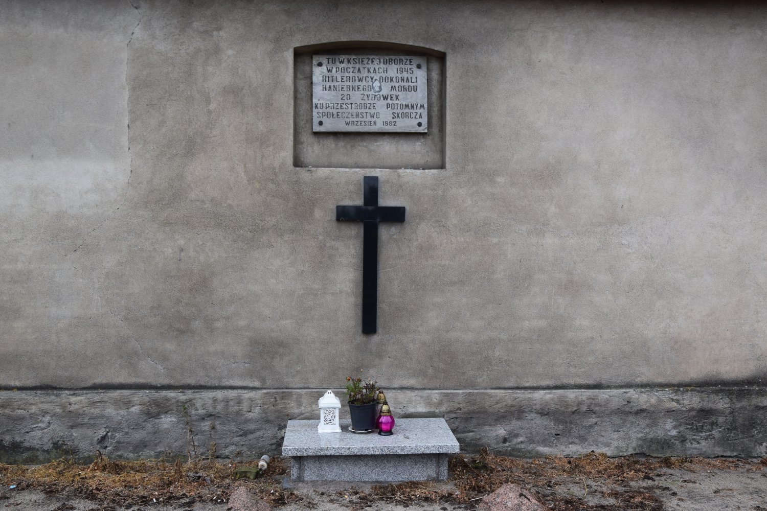 - dsc_7523_1.jpg - dsc_7523_1.jpg